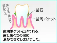 中期